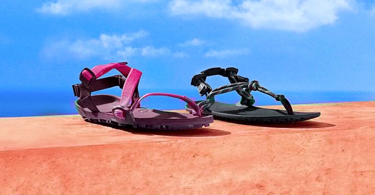 Fuchsia Z-Trail EV and Sea Moss Genesis in front of blue sky